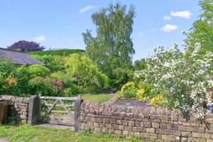 Photo 31- click for photo gallery